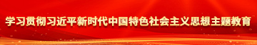 肏逼逼学习贯彻习近平新时代中国特色社会主义思想主题教育